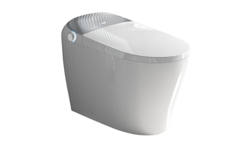 <strong>Luxury Smart Toilet</strong>