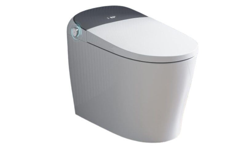 Luxury Smart Toilet with Built-In Bidet