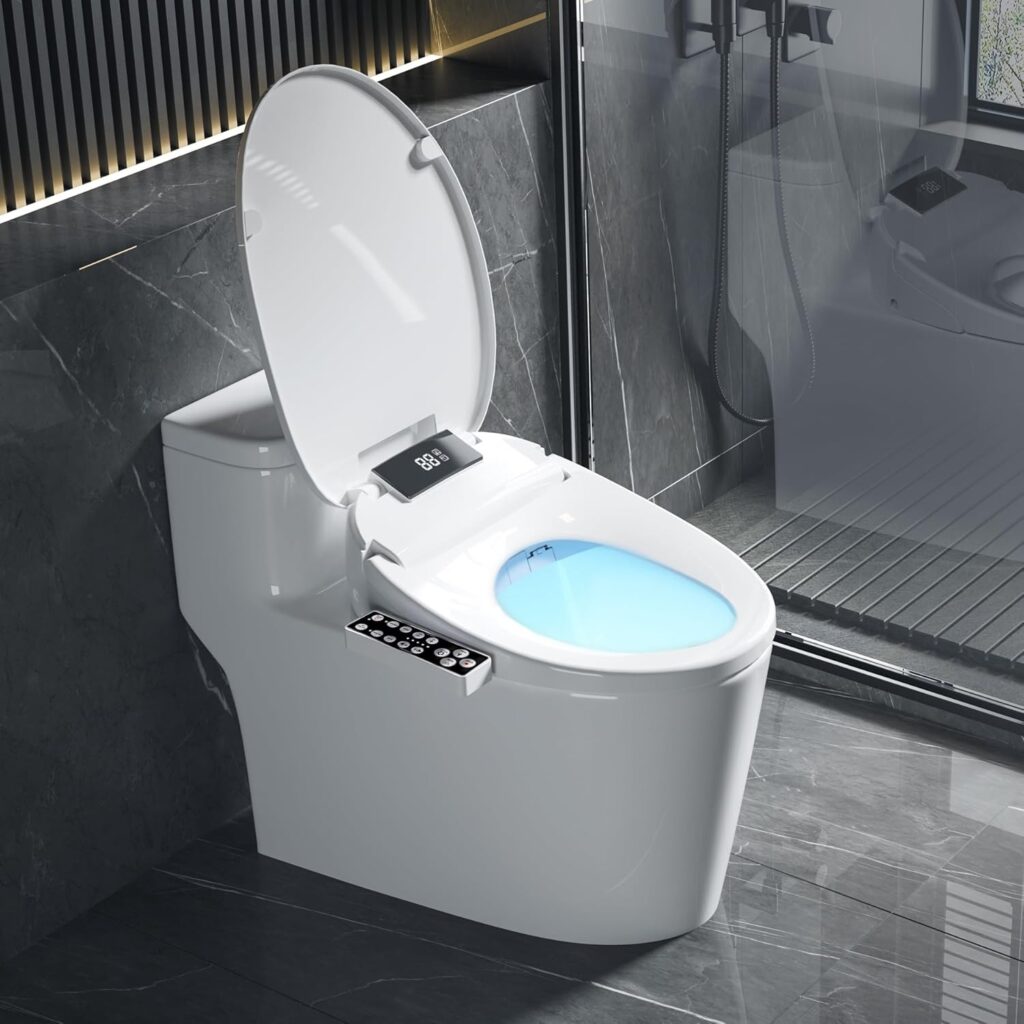 bidet toilet seat with remote control 