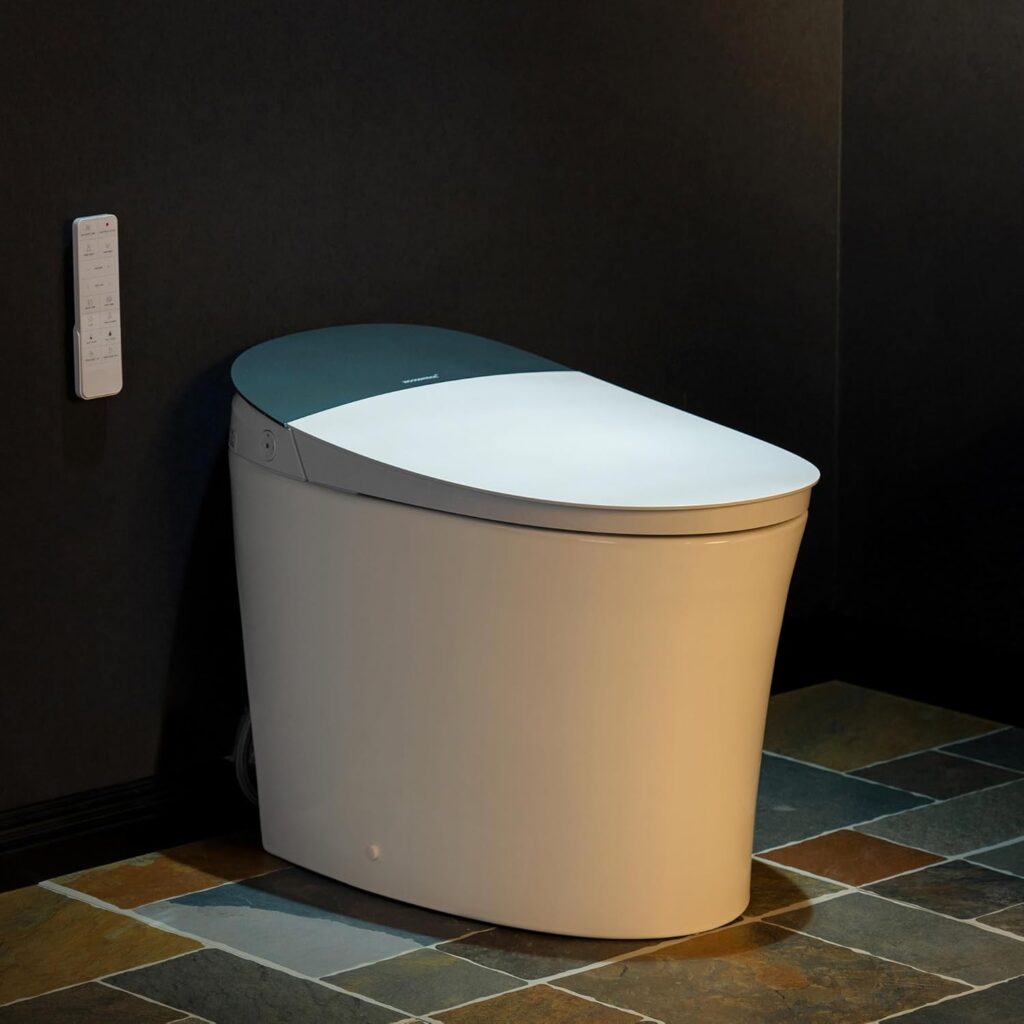 best bidet toilet seat with remote control under 200